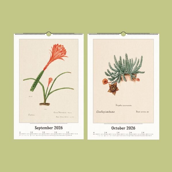 Vintage botanical cactus illustrations, September and October 2026.