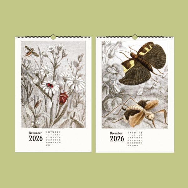2026 calendar with insect illustrations, November and December.