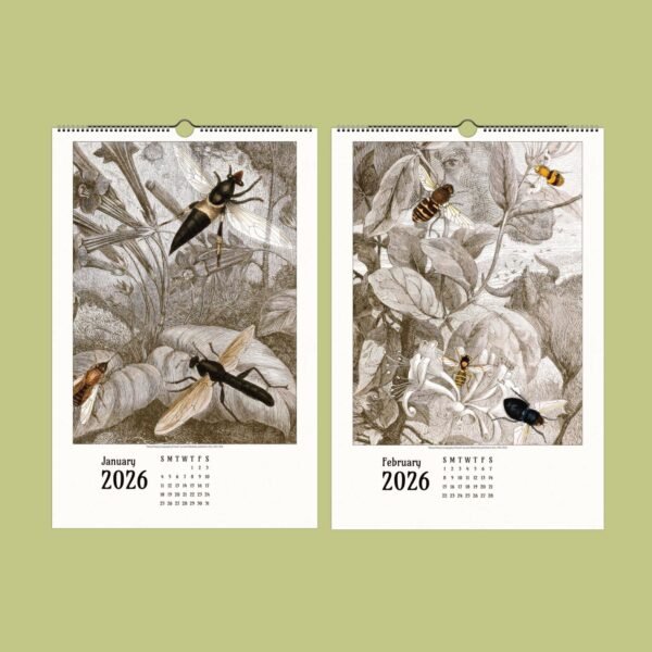 2026 calendar with insect illustrations.