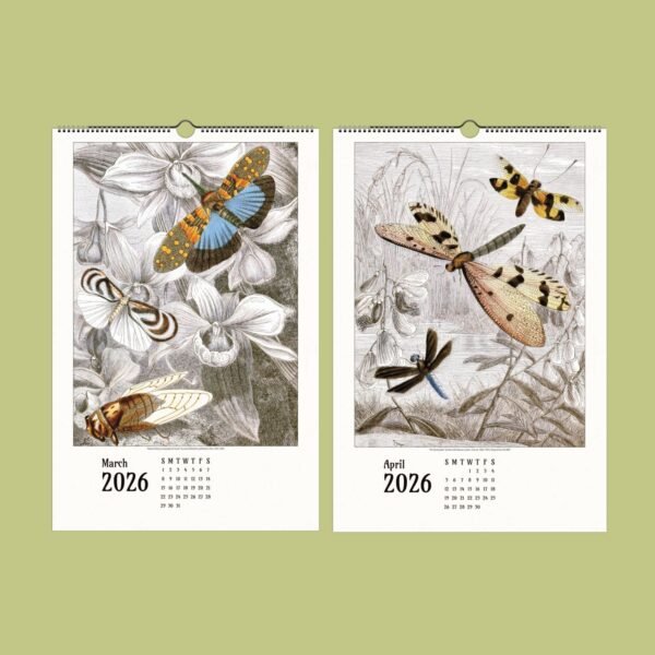 2026 calendar with illustrated insects.