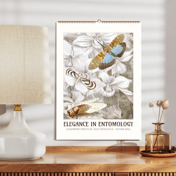 Insect illustrations poster on wooden shelf display.