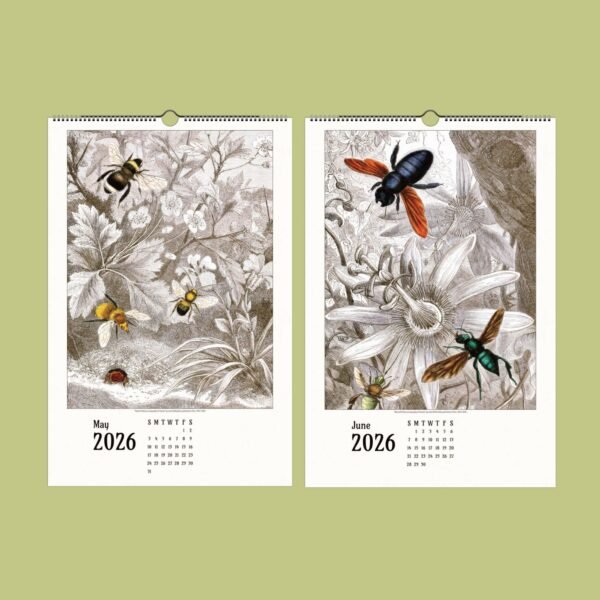 2026 calendar pages with botanical illustrations.