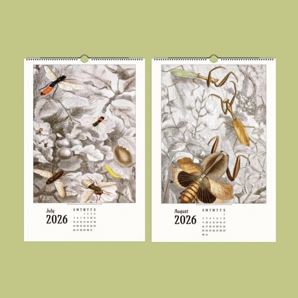 Insect illustrations on 2026 calendar for July, August.