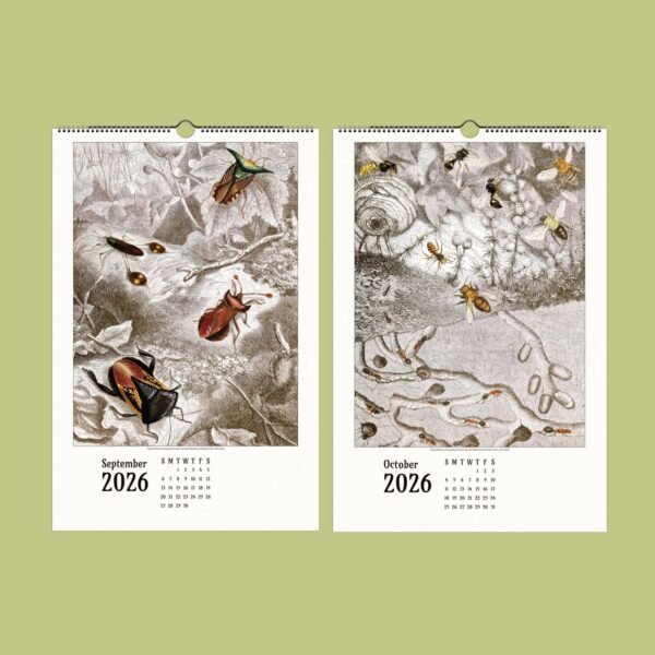 2026 calendar pages, September and October insects.