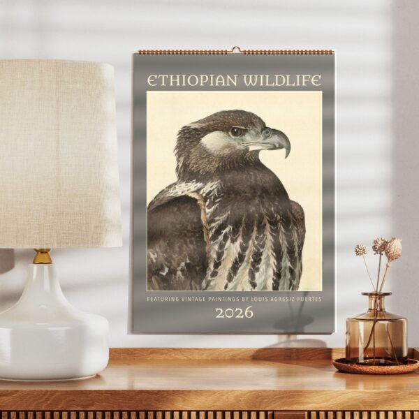 2026 Ethiopian wildlife calendar with hawk illustration.