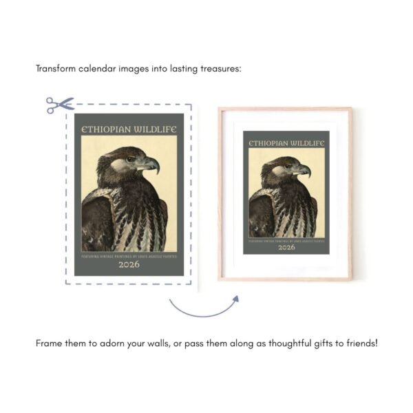 Ethiopian Wildlife calendar, framed picture transformation.