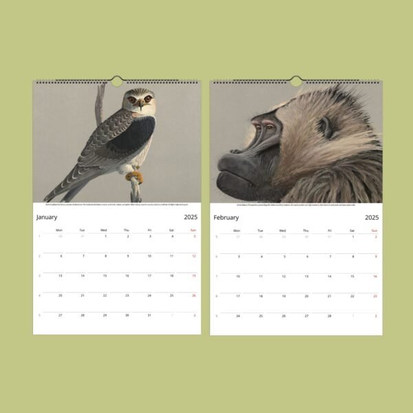 2025 calendar with bird and baboon illustrations.