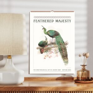 Illustrated peacocks in 'Feathered Majesty' calendar