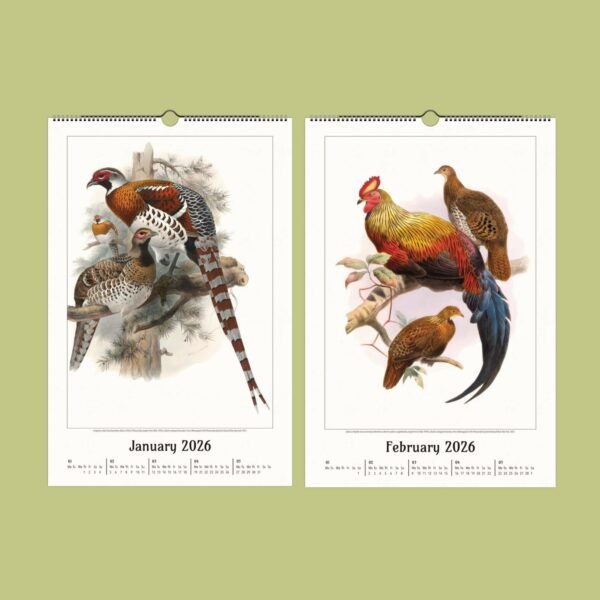 Bird illustrations on 2026 calendar pages, January-February.