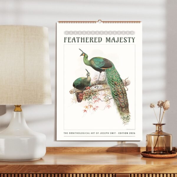 Illustrated peacocks in 'Feathered Majesty' calendar
