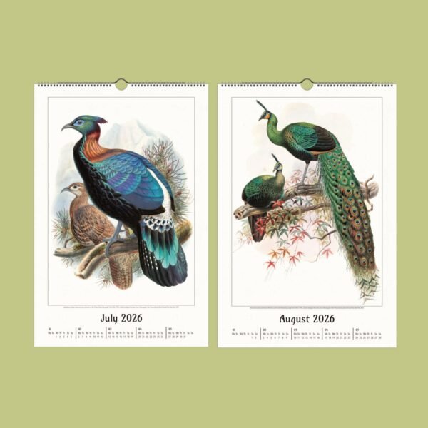 Calendar pages with illustrated exotic birds, July and August 2026.
