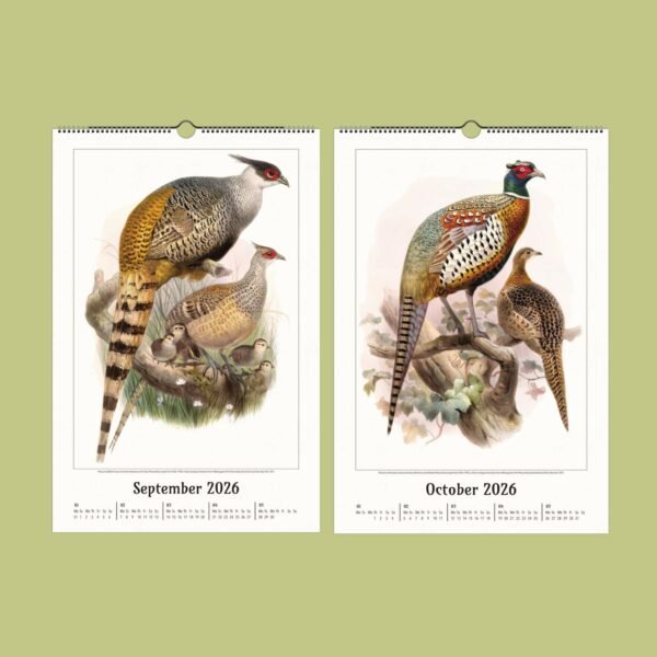 Two-page calendar with bird illustrations, September and October.