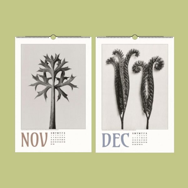 November and December calendar pages with plant photos.
