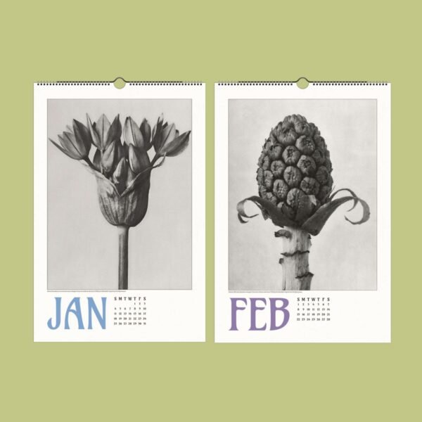 Black and white floral calendar for January and February.