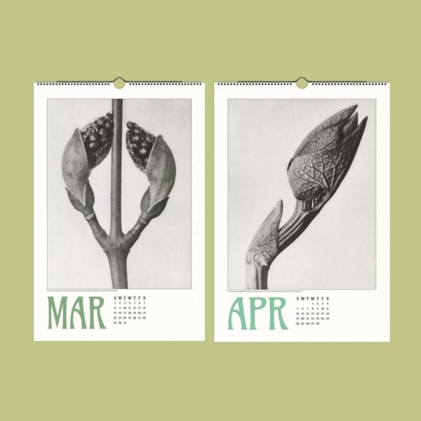 March and April calendar pages with plant illustrations.