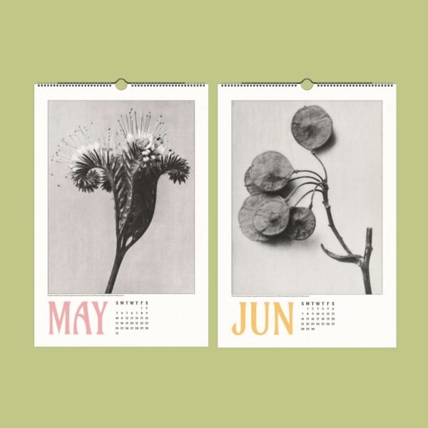 Botanical calendar pages for May and June.