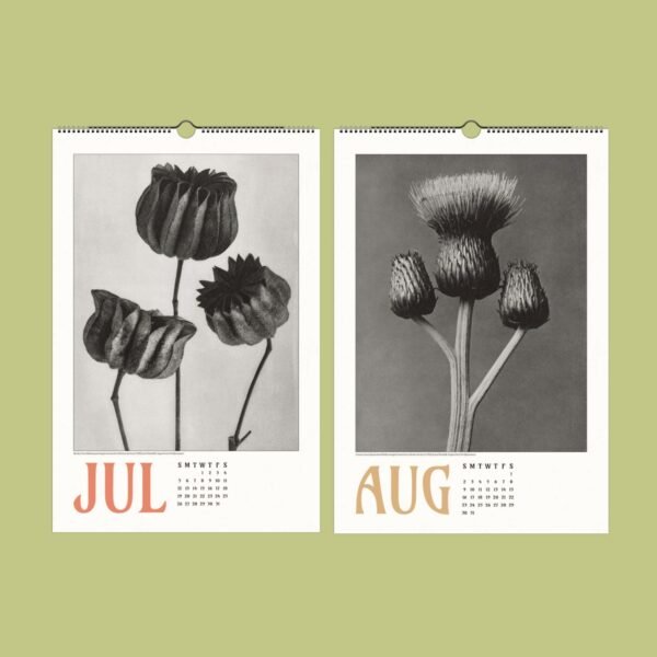 July August flower calendar on green background