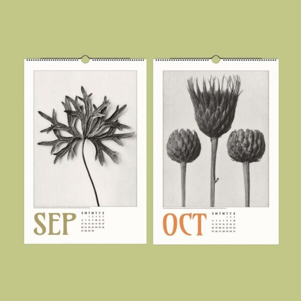 September and October calendar with botanical illustrations.