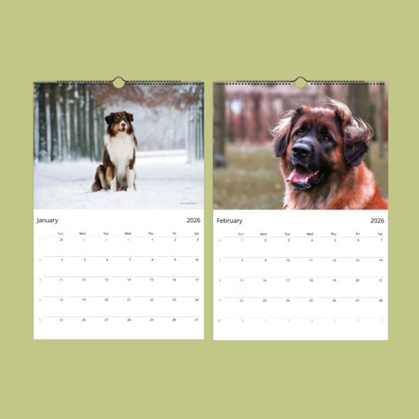2026 calendar with dog photos for January, February.