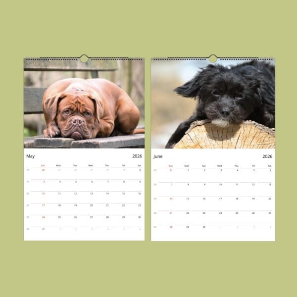 Dogs featured on May and June 2026 calendar pages.