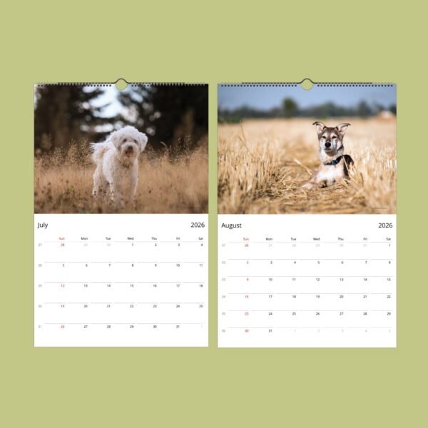 July and August 2026 dog calendar pages