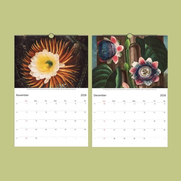 2026 calendar with floral artworks for November, December.