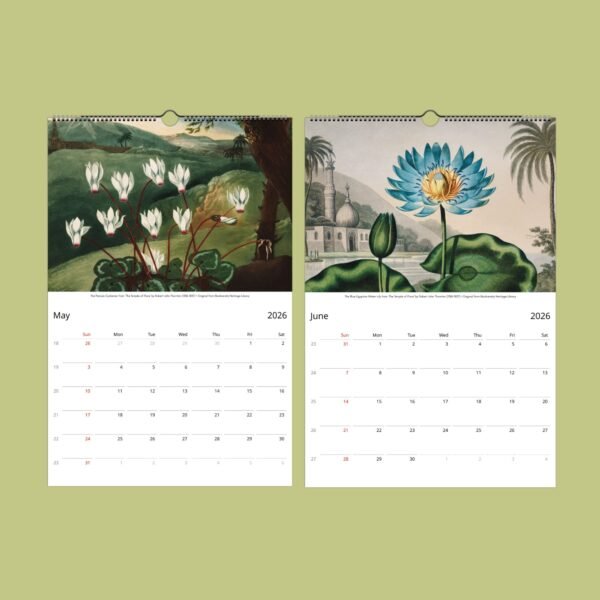 May and June 2026 floral wall calendar