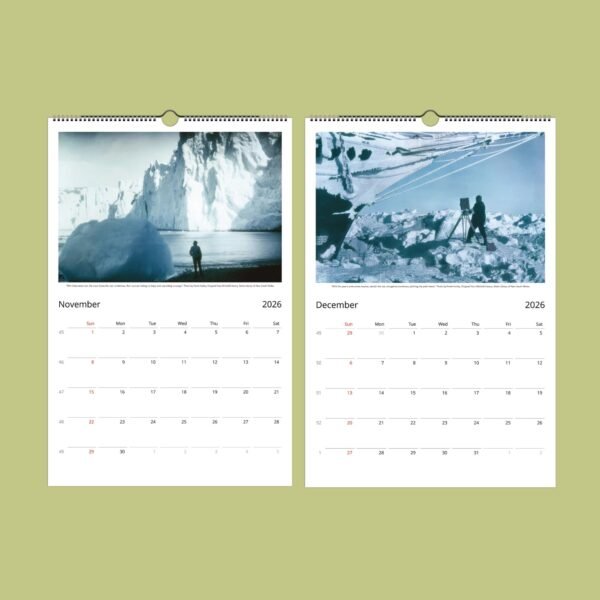 2026 calendar showing November and December months