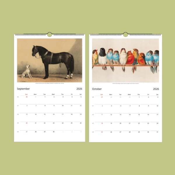 2026 calendar pages with horse and birds illustrations.