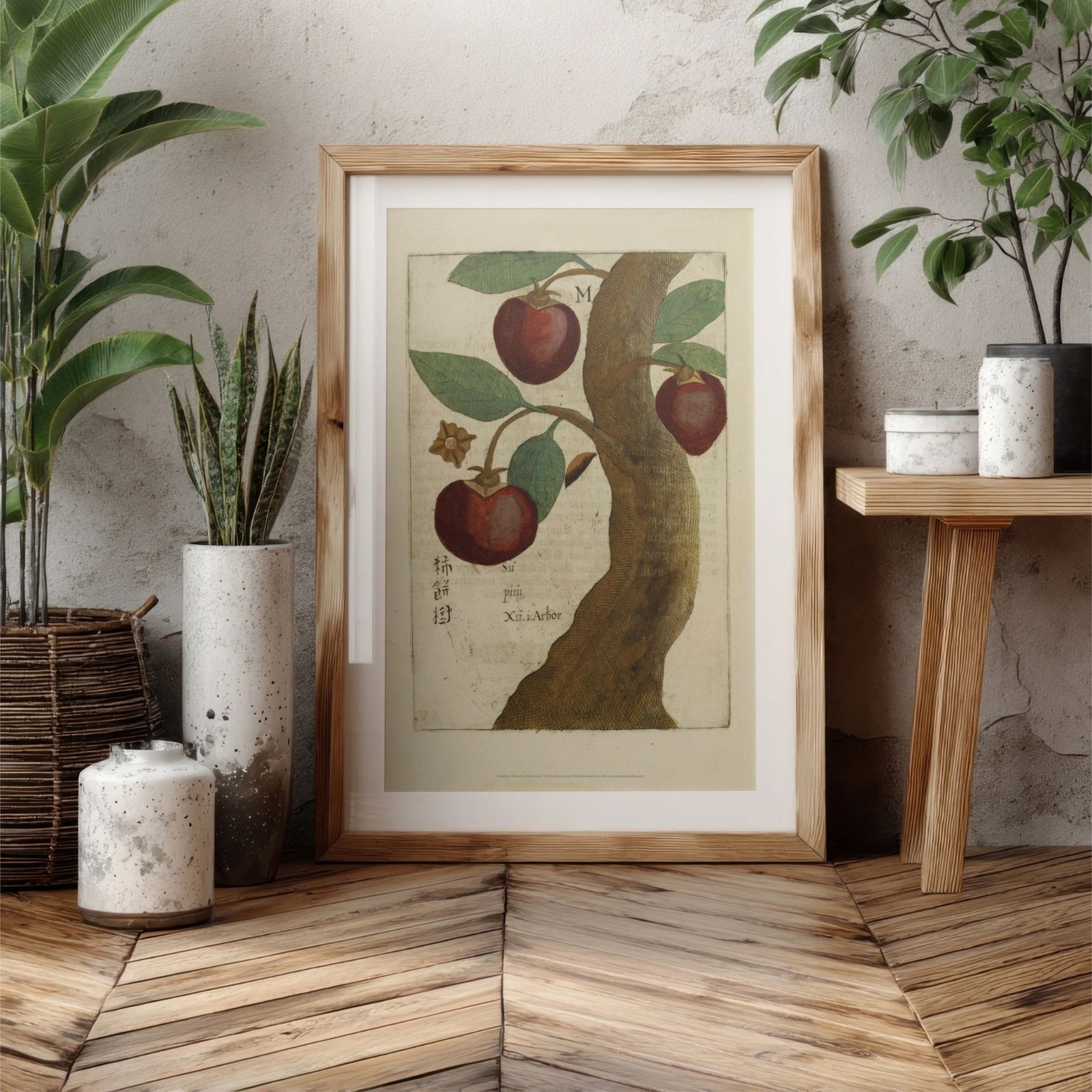 Framed botanical illustration with surrounding plants and pots.