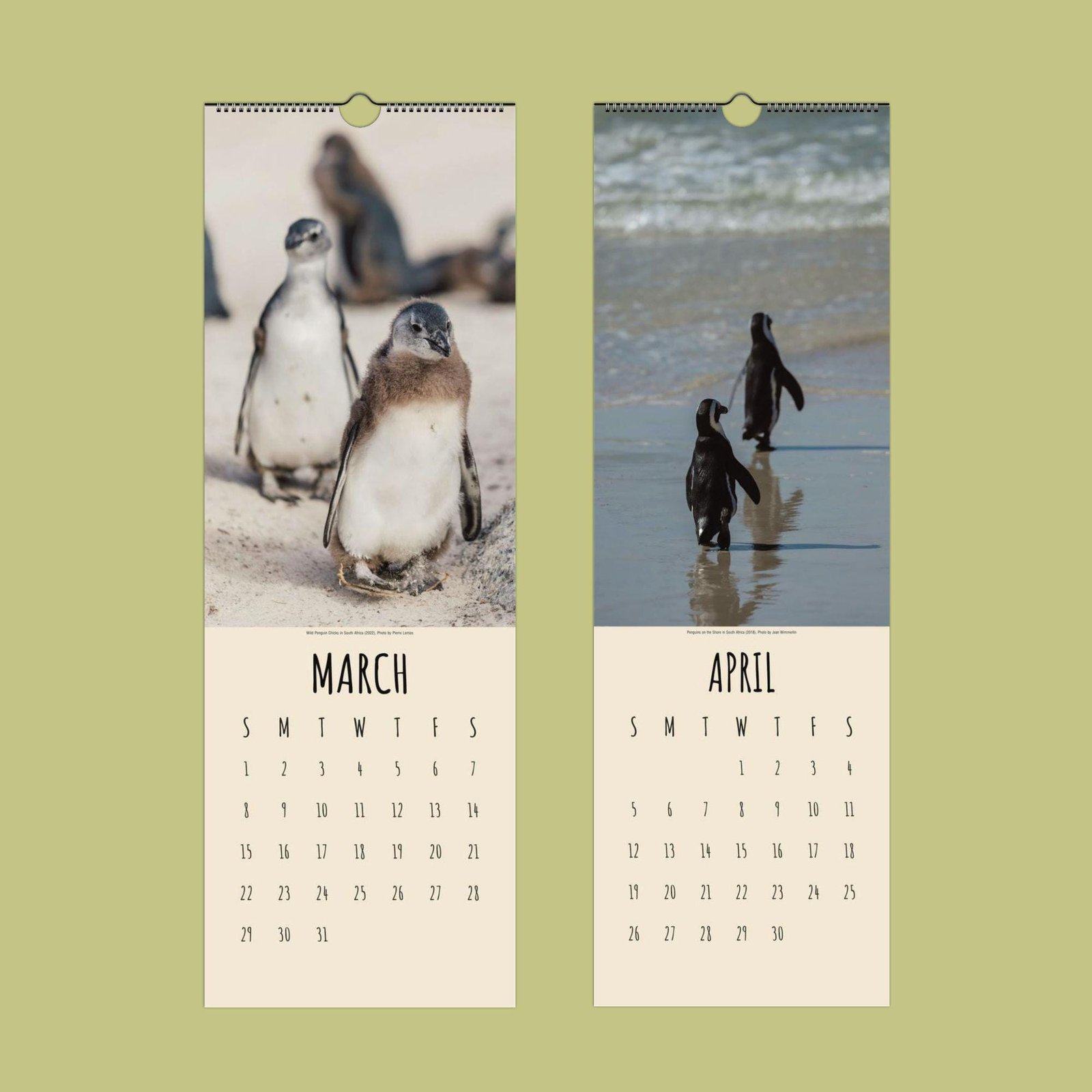 Penguin calendar pages for March and April.