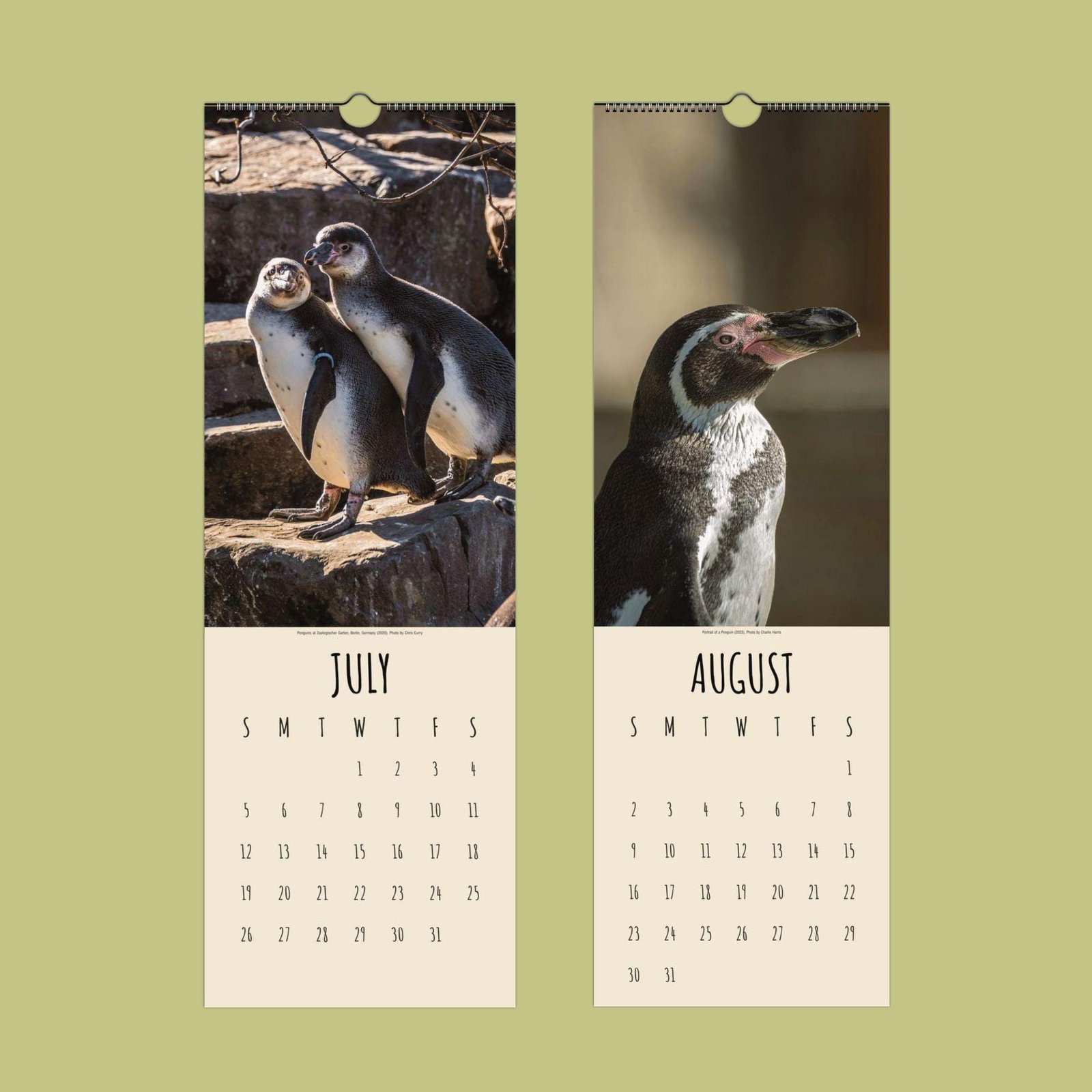 July and August penguin calendar pages.