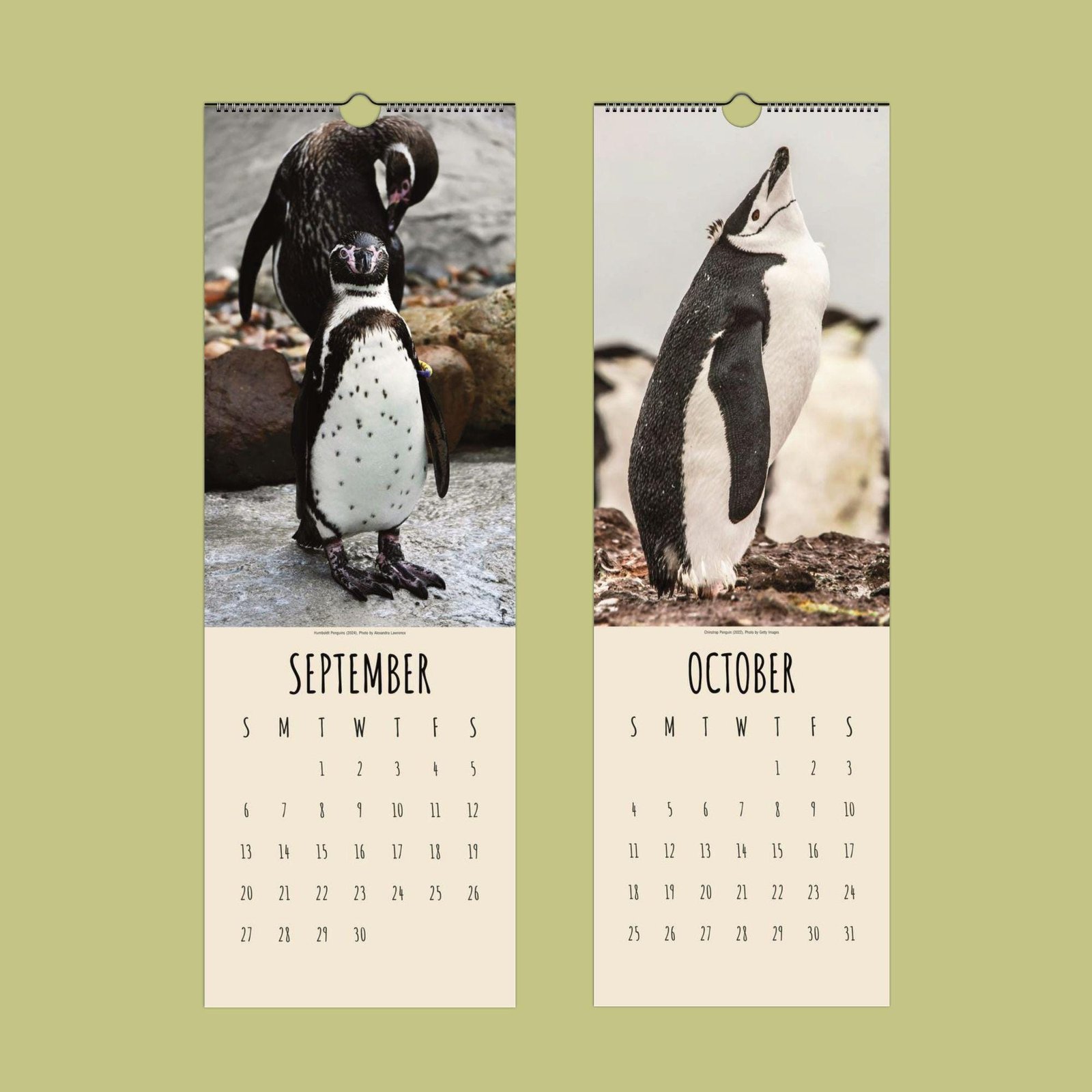 Penguin-themed September and October calendar pages.