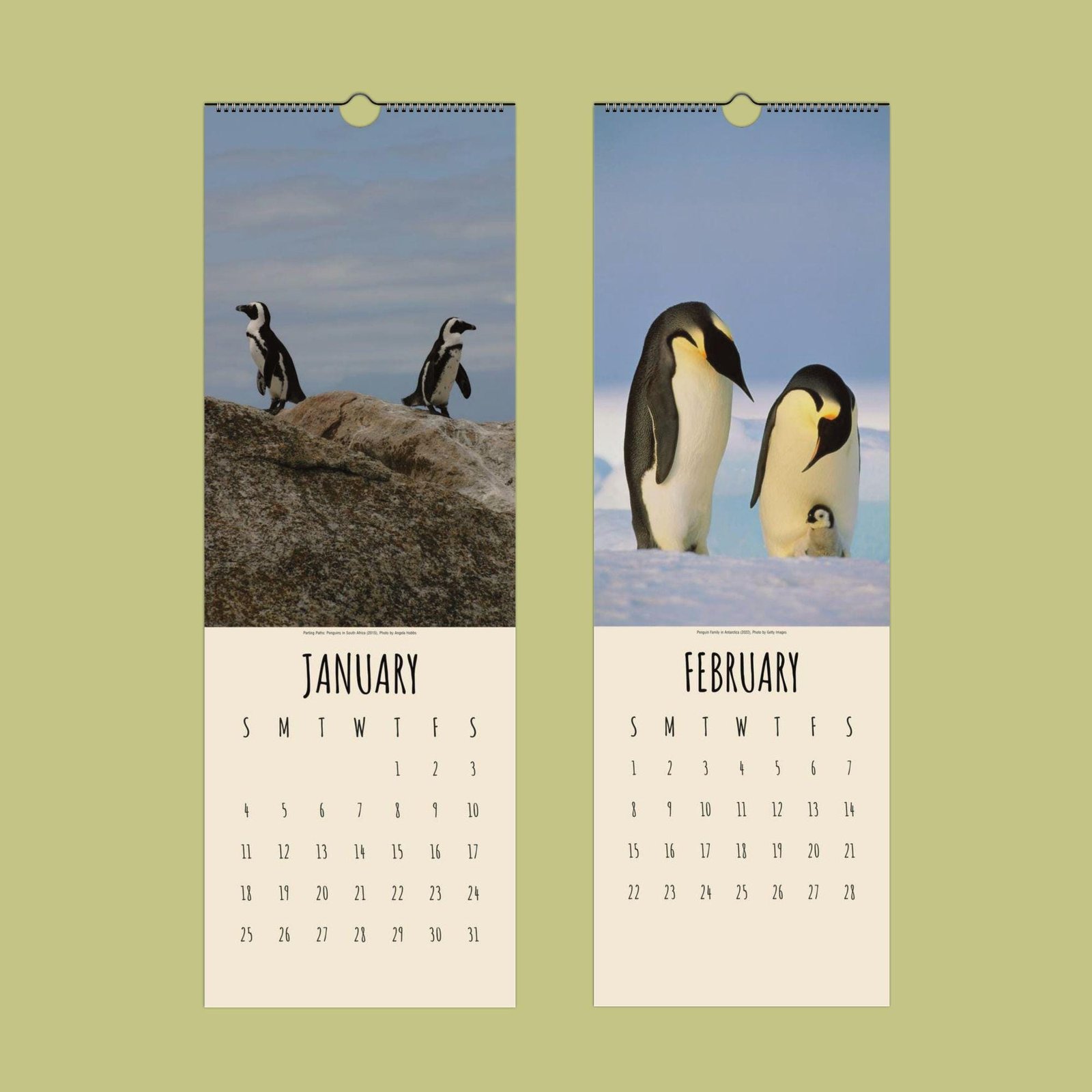 Calendar pages with penguins for January and February.