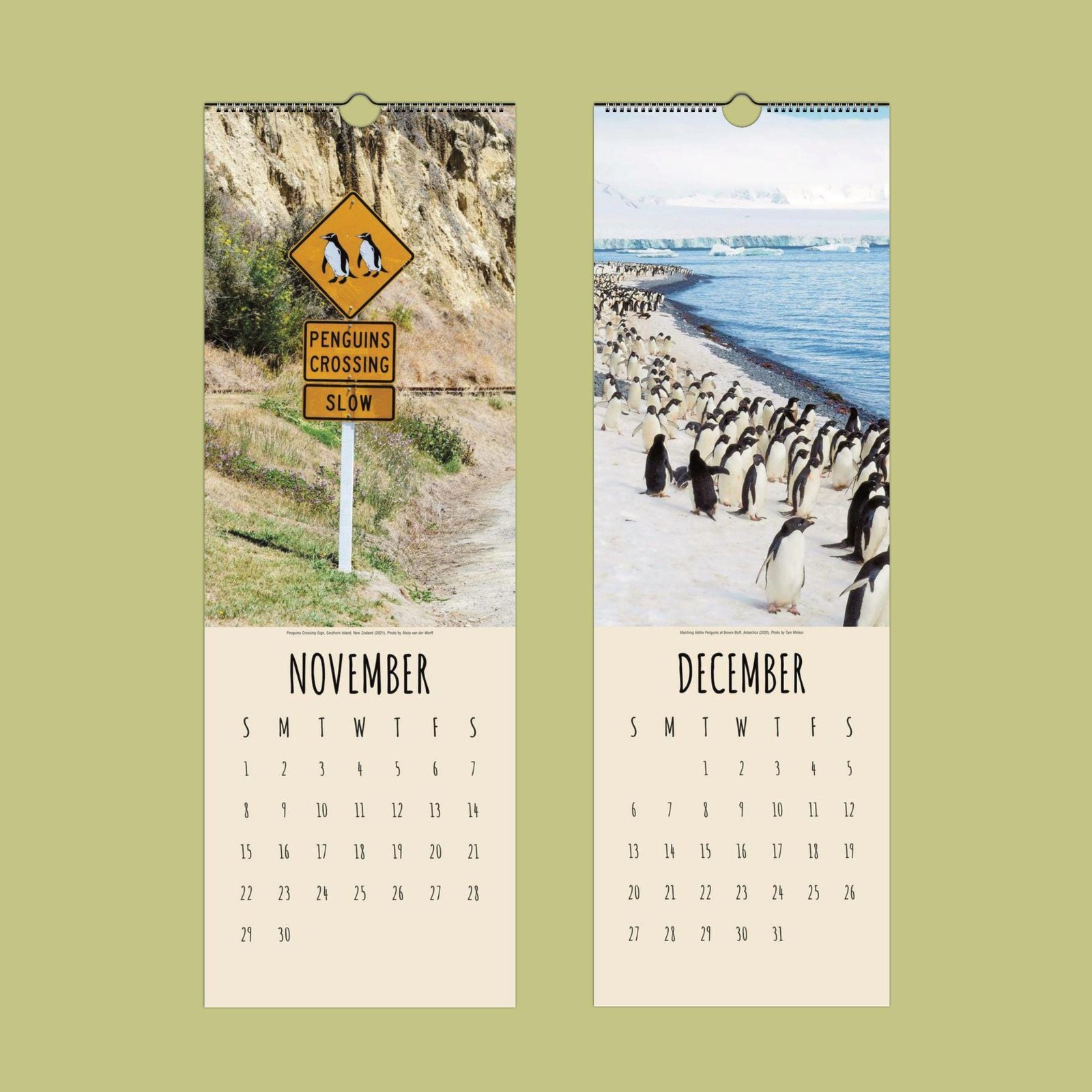 Penguin crossing sign and penguin colony calendar pages.