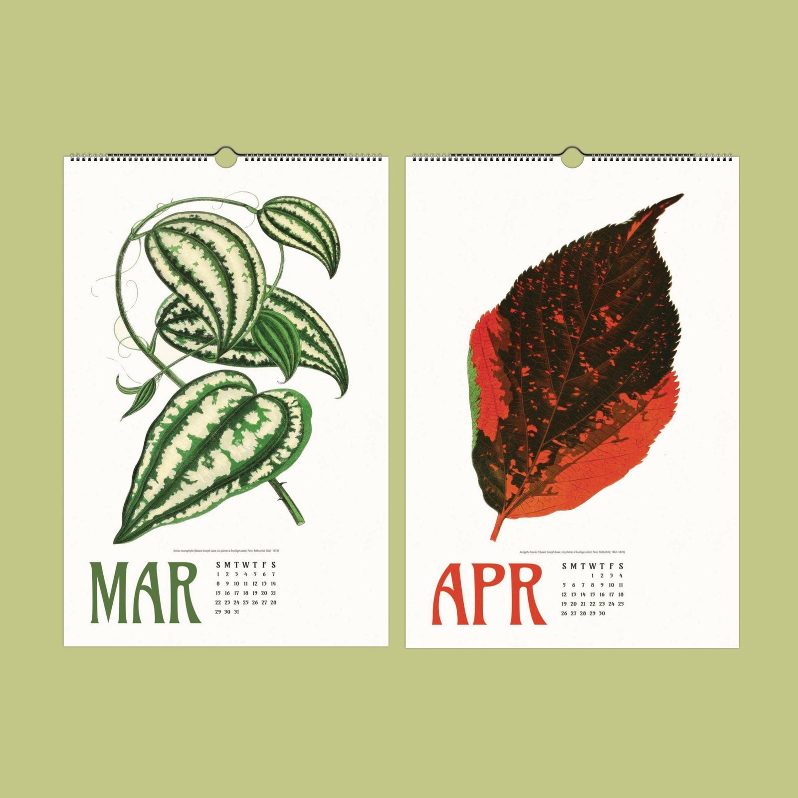 March April botanical calendar pages with leaves