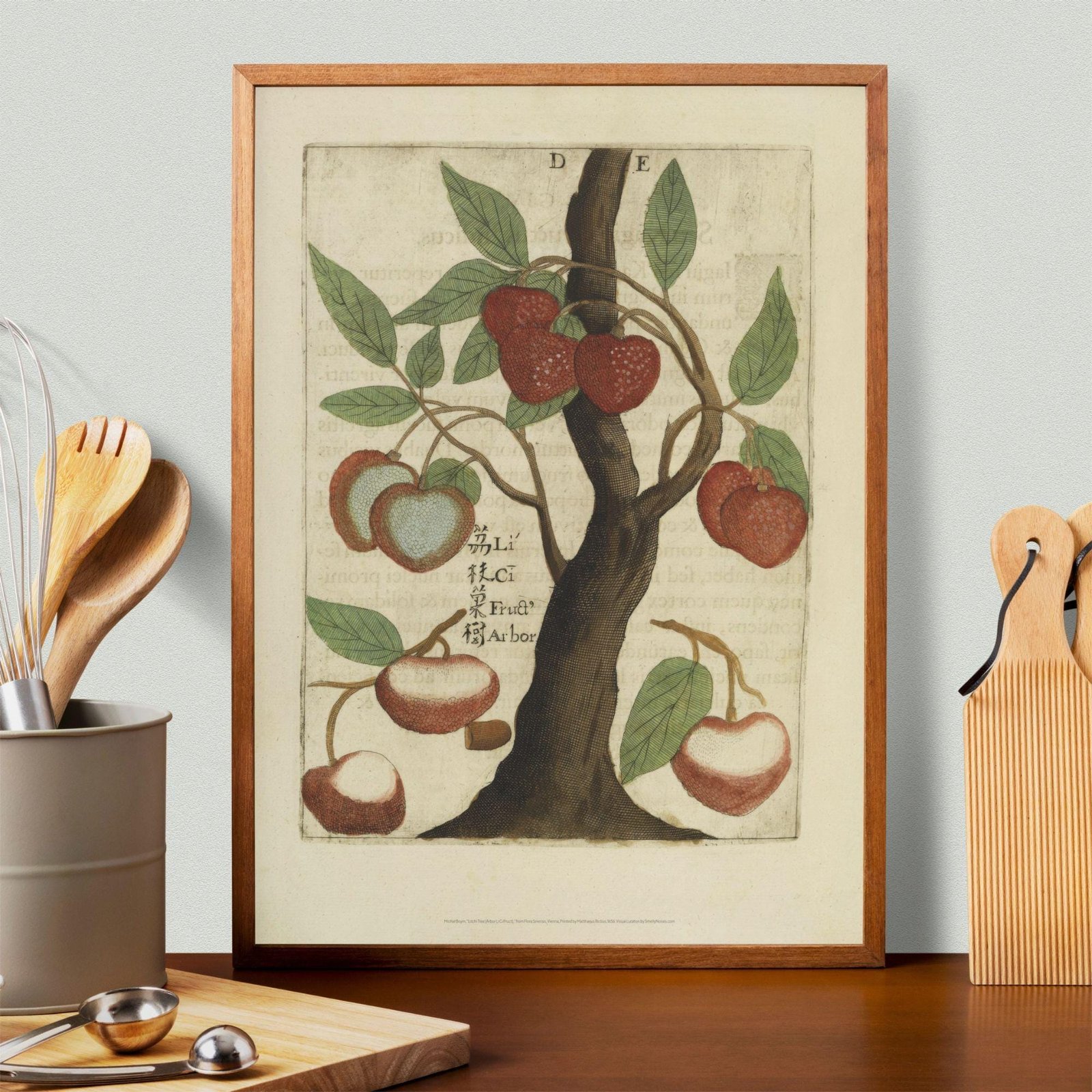 Litchi Tree by Michal Boym - Asian Fauna, Botanical Art, 17th century print, Framed - Image 3