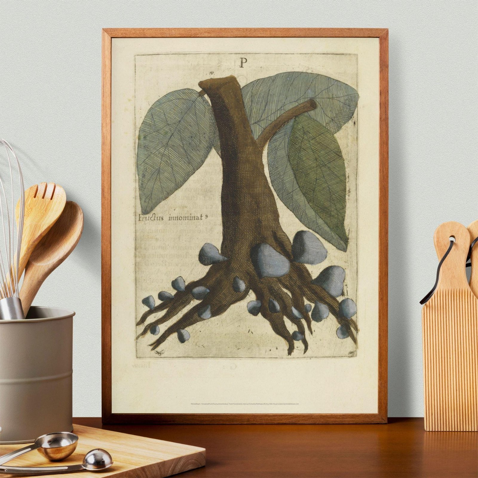 Unnamed Fruit by Michal Boym - Asian Fauna, Botanical Art, 17th century print, Framed - Image 3