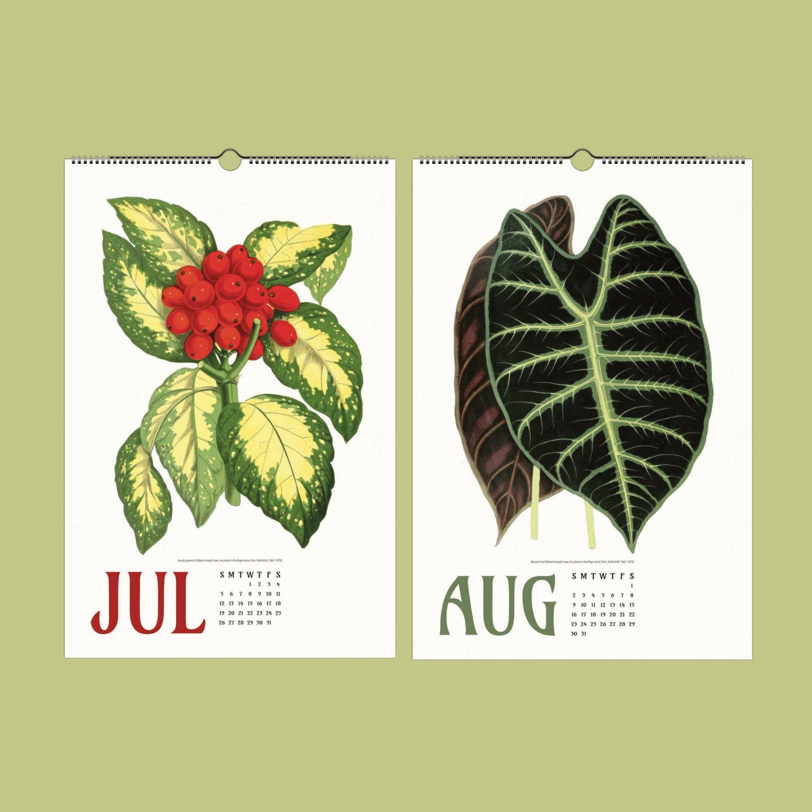 Botanical calendar pages for July and August.