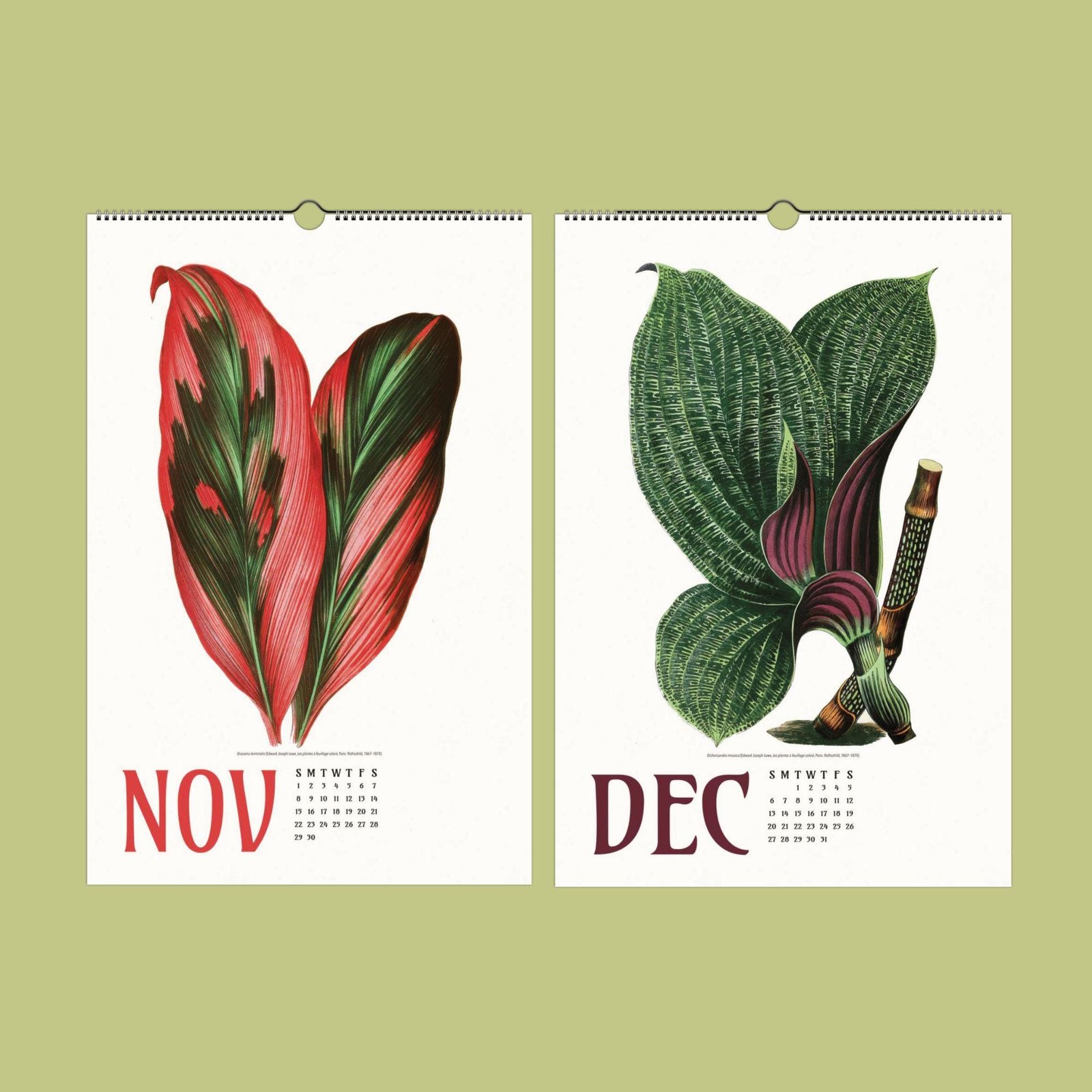 November December calendar with botanical illustrations.