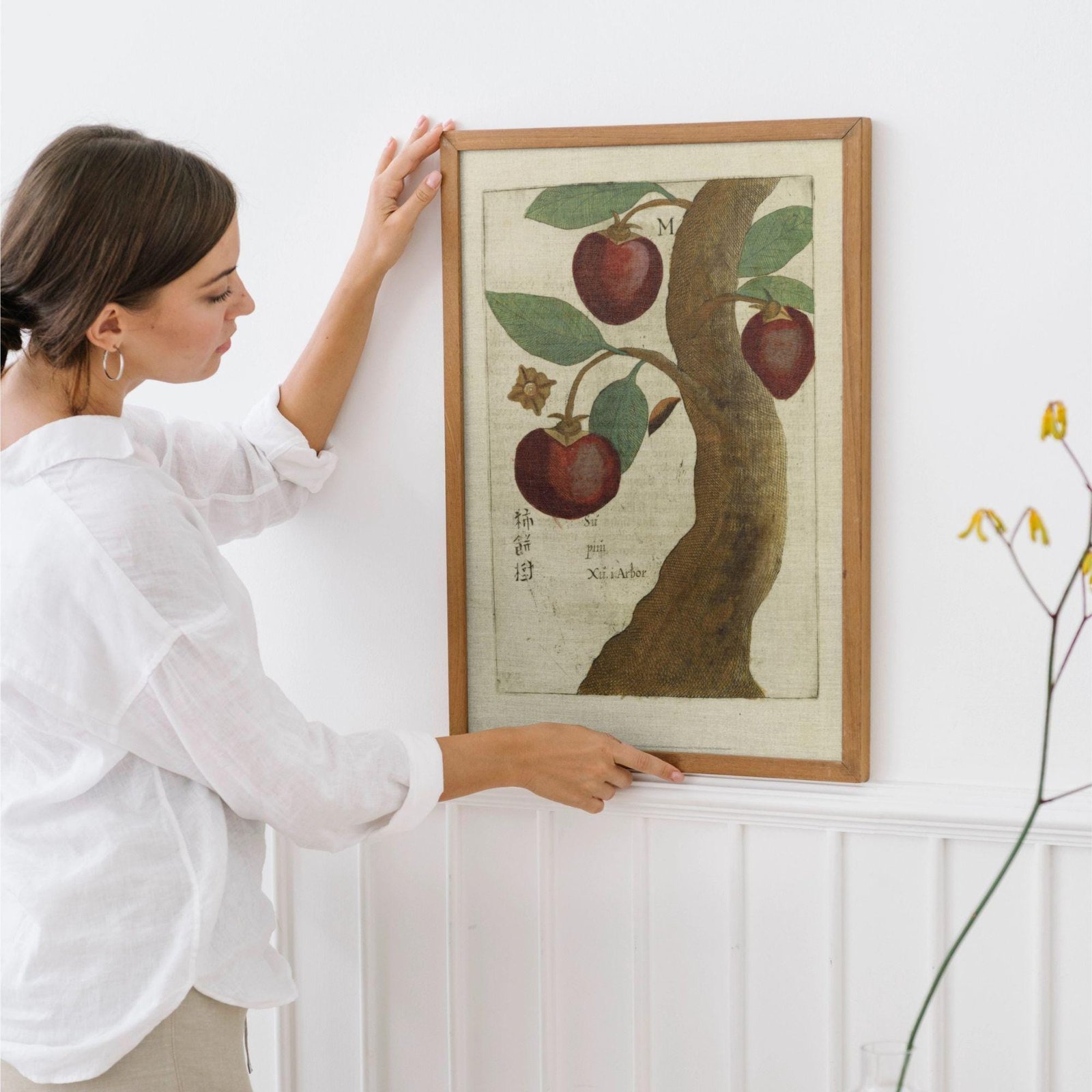 Person hanging framed botanical art on wall