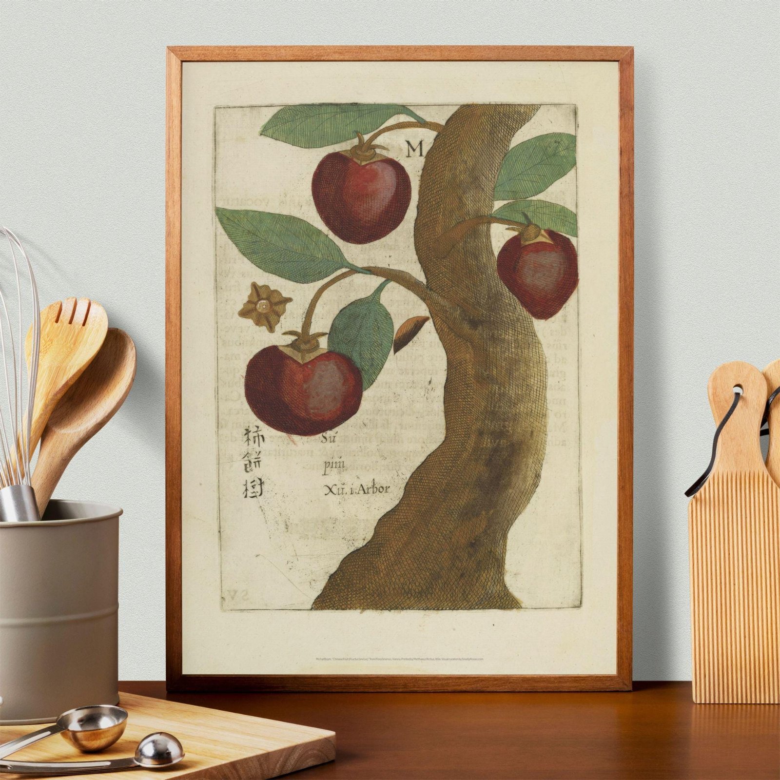 Chinese Fruit Tree by Michal Boym - Asian Fauna, Botanical Art, 17th century print, Framed - Image 3