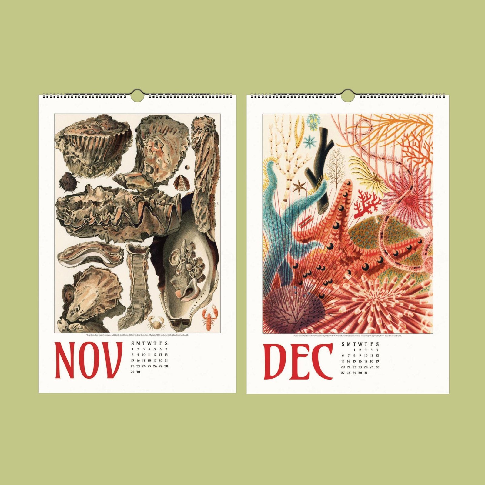 November and December illustrated calendar pages