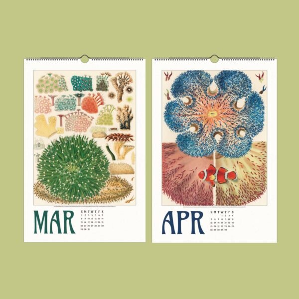 Vintage calendar illustrations for March and April.