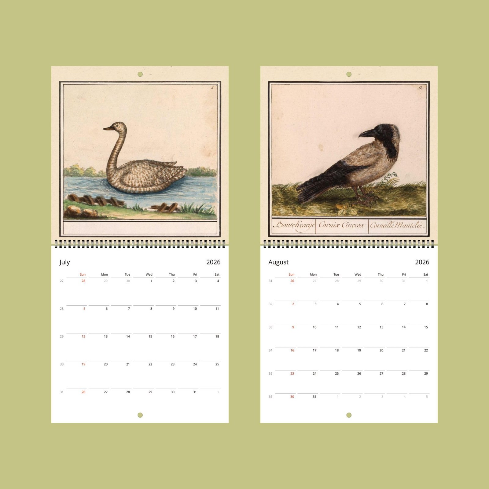 2026 bird calendar July and August pages