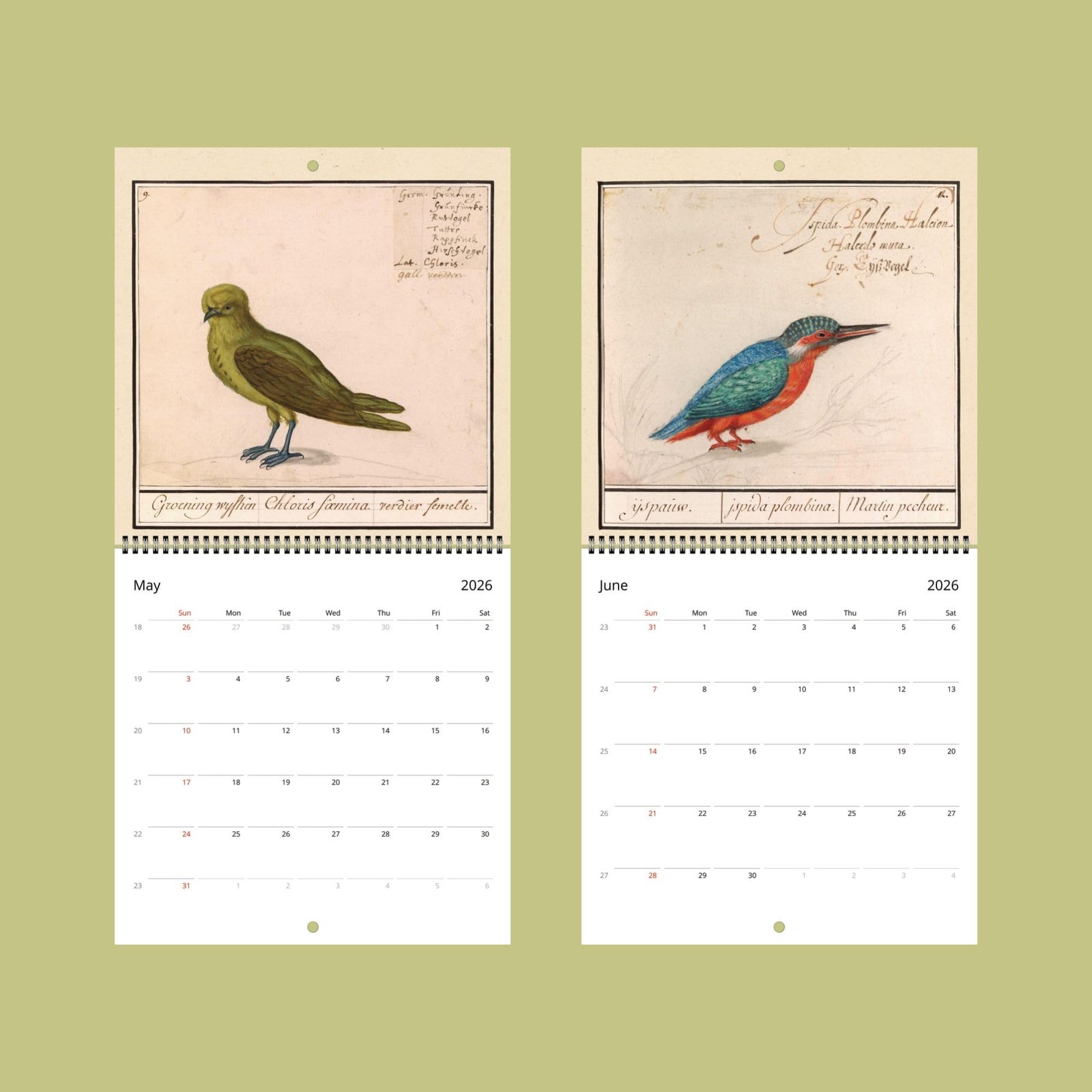 2026 calendar with vintage bird illustrations.