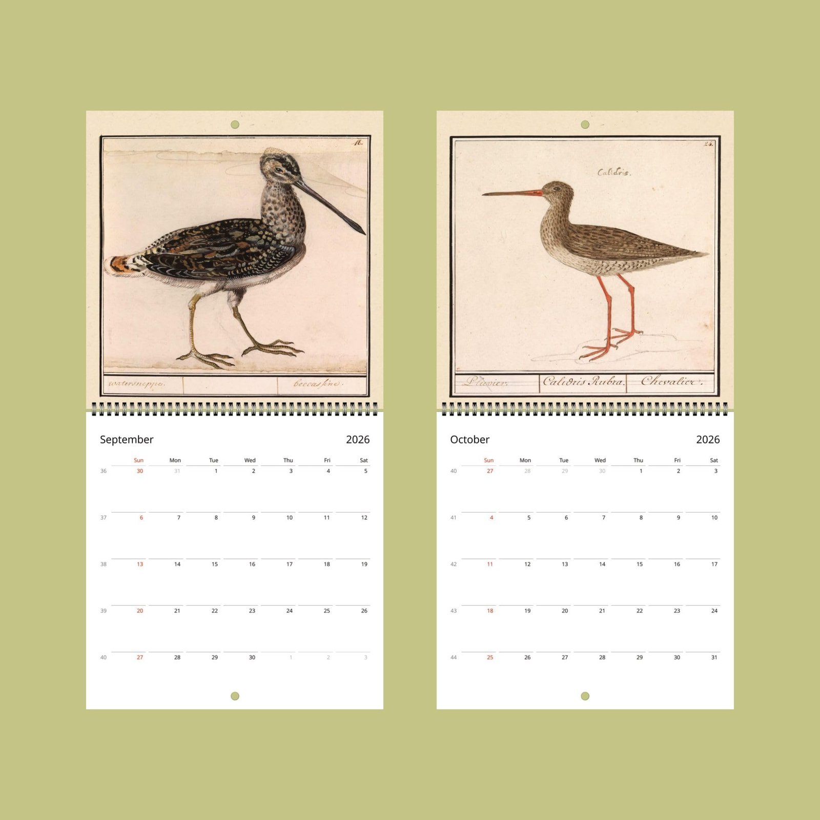 2026 calendar with bird illustrations for September, October.