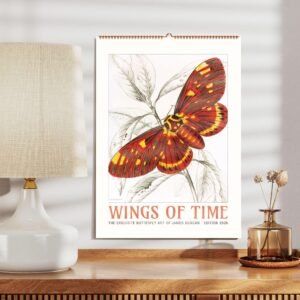 Colorful butterfly art print on display