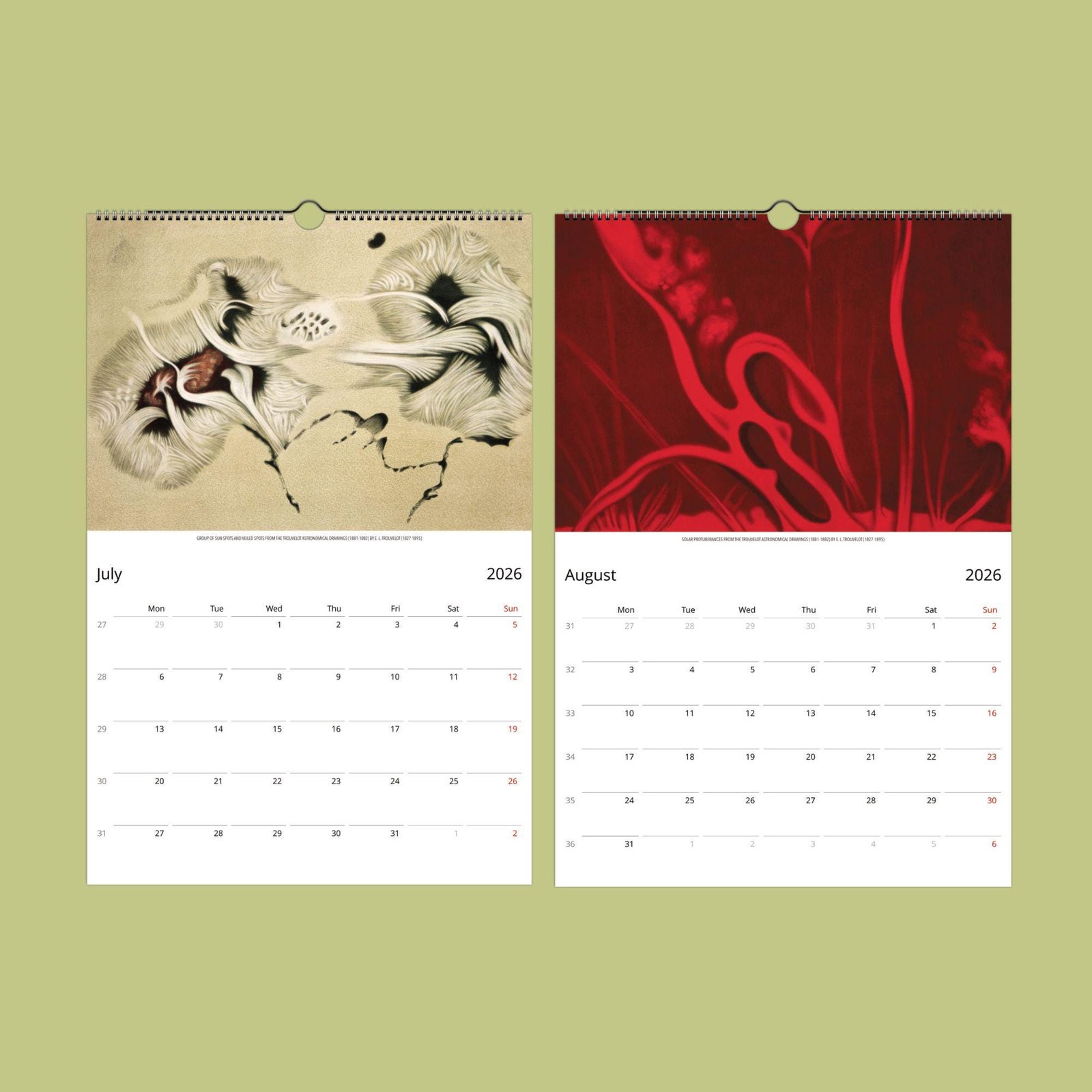 2026 calendar with July and August artwork