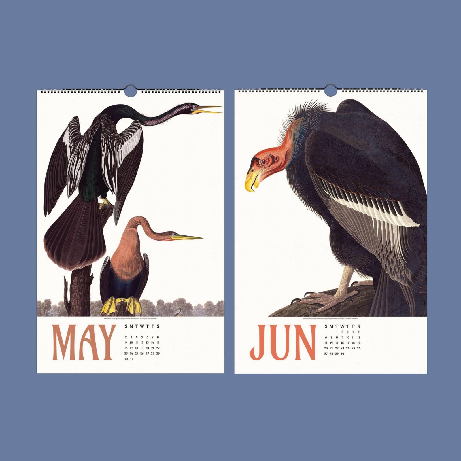 Vintage bird illustrations on May and June calendars.